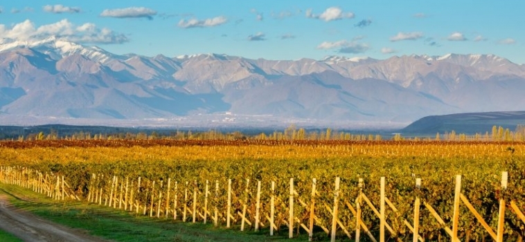 TOUR TO GABALA – TASTE OF AZERBAIJANI WINE