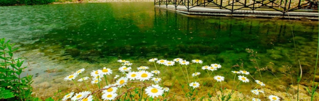 SUMMER IN SHAKHDAG