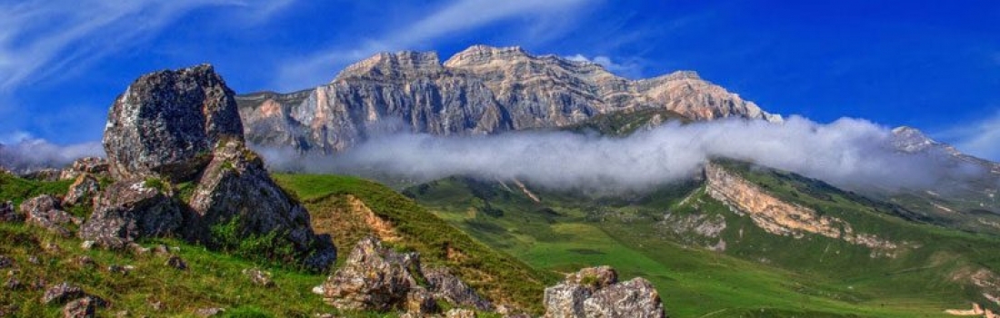 SHAHDAG